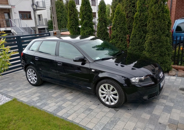 Audi A3 cena 18000 przebieg: 313000, rok produkcji 2006 z Bydgoszcz małe 46